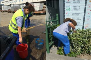 高温下的坚守,上海最可爱的保洁人 最美清洁人 评选活动报道